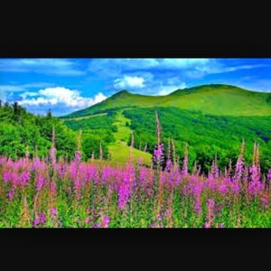 Meet your Posher, Wanderlust1071